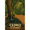 Cedro La Gomera