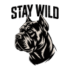Motivation Stay Wild Dogs Force