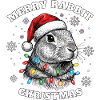 Noël lapin Noël Drôle Mignon