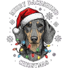 Teckel Noël Noël Drôle Mignon