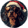 SantaDog Sunglasses