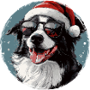 Dog Christmas with sunglasses