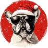 Bulldog Santa with sunglasses