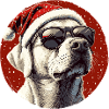 Christmas Dog with Sunglasses