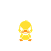 Pas envie d'être sociable Canard