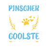 Mejn Pinscher : Meilleur chien du monde