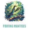 Gottesanbeterinnen Gottesanbeterin