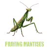 Mantes religieuses Mantes religieuses
