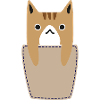 Poche poitrine avec chat