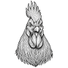 Coq