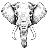 Éléphant