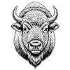 buffalo