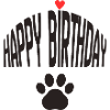 Happy Birthday dog