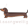 Loooong Dachshund Dog Humor