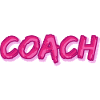 Job Coach