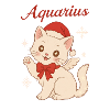 Aquarius Winter Cat