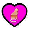 Katze
