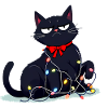 Funny grim cat Christmas