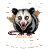 Funny Opossum