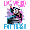 Funny Opossum