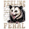 Funny Opossum