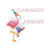 January Birthday Flamingo Saying Funny