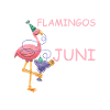 June Birthday Flamingo Saying Funny