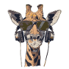 Coole Giraffe mit Kopfhörer und Sonnenbrille