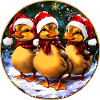 Weihnachtsmann Entchen