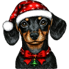 Teckel de Noël