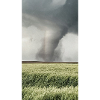 Tornade