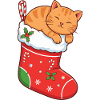 Cuddly cat in festive boots