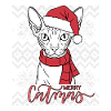 Chat Sphynx Noël Écharpe Bonnet