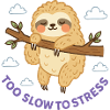 Cute Sloth Too Slow to Stress