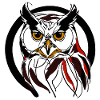 Nacht-Eule