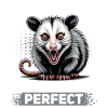 Drôle d’opossum