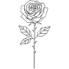 Geometric Line Rose
