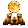 Capybara Capybara Moonlight Trio