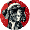 Festive Great Dane with sunglasses
