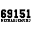 69151 Neckargemünd