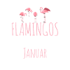 January Birthday Flamingo Saying Funny