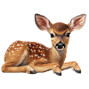 Cerf faon