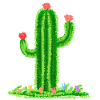 Cactus with flower