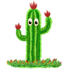 Cactus with eyes