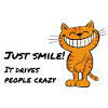 Just Smile – Grinning Cat Cheshire Cat