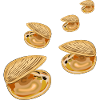 Decorative Shells