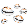 mussels
