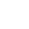 Flag Strokes with NYC