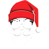 Cool Santa with beard and sunglasses