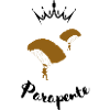 Duo paragliding on a black background
